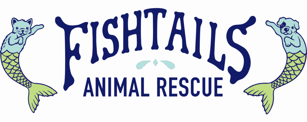 fishtails animals rescue