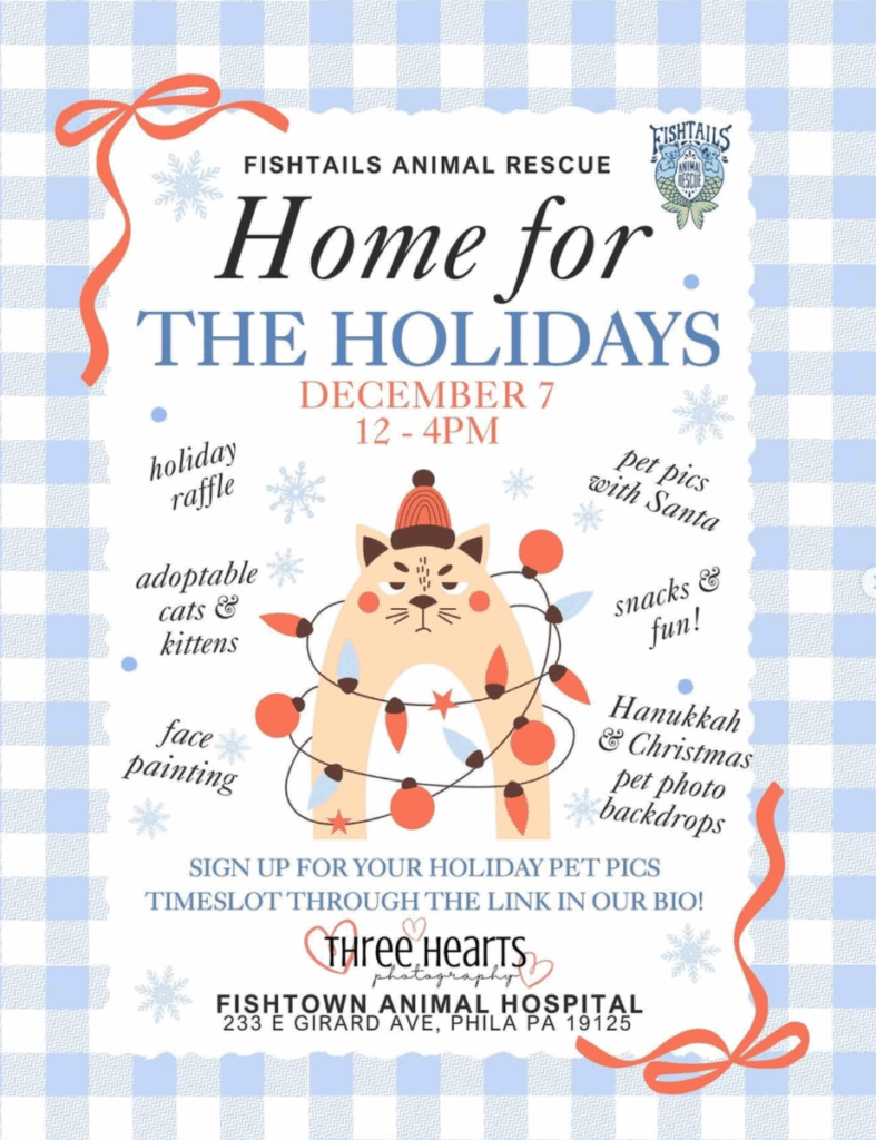 home for the holidays december 7 12-4pm