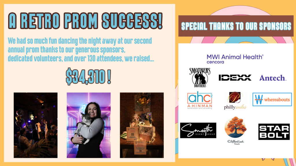 A retro prom success