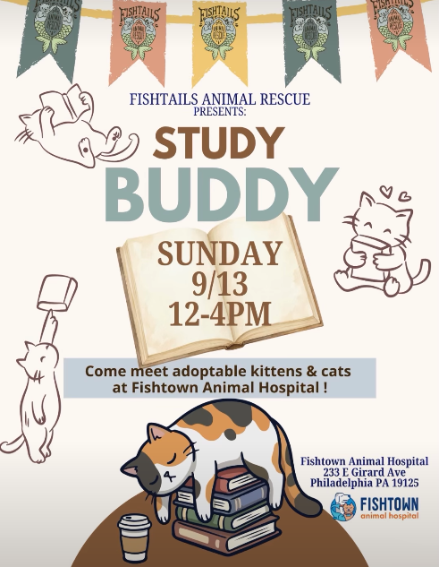 Fishtails Animal Rescue Presents: Study Buddy Sunday 9/13 12-4PM Come meet adoptable kittens and cats at Fishtown Animal Hospital!